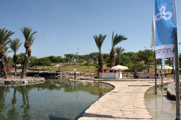 18 מתוך 546